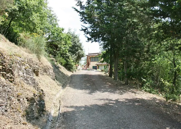 La Rogaia Viciomaggio