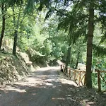 La Rogaia