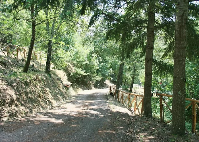La Rogaia